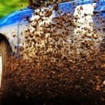 Italian ralli 2025 oli menestyksekäs suomalaisille